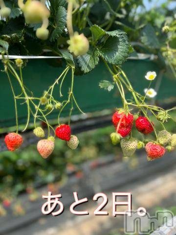 伊那デリヘルピーチガールななこ(29)の2024年4月25日写メブログ「あと2日🌸」