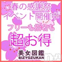 長岡デリヘル(ビジョズカンナガオカテン)の2026年4月28日お店速報「4/27～5/4まで春の大感謝祭★第2弾★全コース2,000円OFF★」