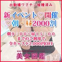 長岡デリヘル(ビジョズカンナガオカテン)の2023年9月6日お店速報「新イベント朝昼割2000円OFF！！！！」