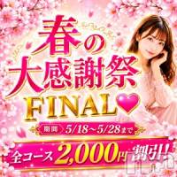 長岡デリヘル 美女図鑑 長岡店(ビジョズカンナガオカテン)の5月25日お店速報「5/18～5/28まで春の大感謝祭♥FINAL♥全コース2000円OFF」