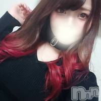 長岡デリヘル 美女図鑑 長岡店(ビジョズカンナガオカテン)の12月8日お店速報「激カワ体験入店のえる(23)出勤です！店長おまかせフリー割もやってます」