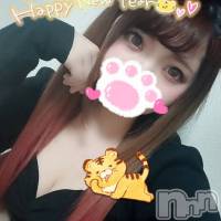 長岡デリヘル 美女図鑑 長岡店(ビジョズカンナガオカテン)の1月12日お店速報「大チャンス！これからＧカップ☆激カワのえるさんがすぐに呼べちゃいます！」