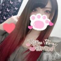 長岡デリヘル 美女図鑑 長岡店(ビジョズカンナガオカテン)の1月13日お店速報「激カワ娘が大集合！Ｇカップのえるちゃんマジはんぱねぇ～っす！！！！」