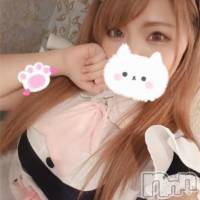 長岡デリヘル 美女図鑑 長岡店(ビジョズカンナガオカテン)の1月13日お店速報「暑い夜はこれから！激カワ☆Ｇカップのえる(23)激アツです！」