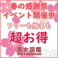 長岡デリヘル 美女図鑑 長岡店(ビジョズカンナガオカテン)の3月20日お店速報「春の大感謝祭開催！60分11,000円～！超お得にお遊びください！」