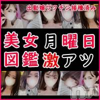 長岡デリヘル 美女図鑑 長岡店(ビジョズカンナガオカテン)の6月20日お店速報「月曜日限定イベント☆6月20日は60分2000円OFF～超お得に遊べます」