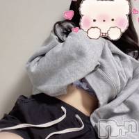 長岡デリヘル 美女図鑑 長岡店(ビジョズカンナガオカテン)の12月22日お店速報「本日、新人2名🌟出勤します🌟お見逃しなく!!!!」