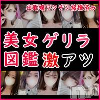 長岡デリヘル 美女図鑑 長岡店(ビジョズカンナガオカテン)の5月19日お店速報「ゲリライベント開催✨最大4,000円OFF✨5/18~5/21」