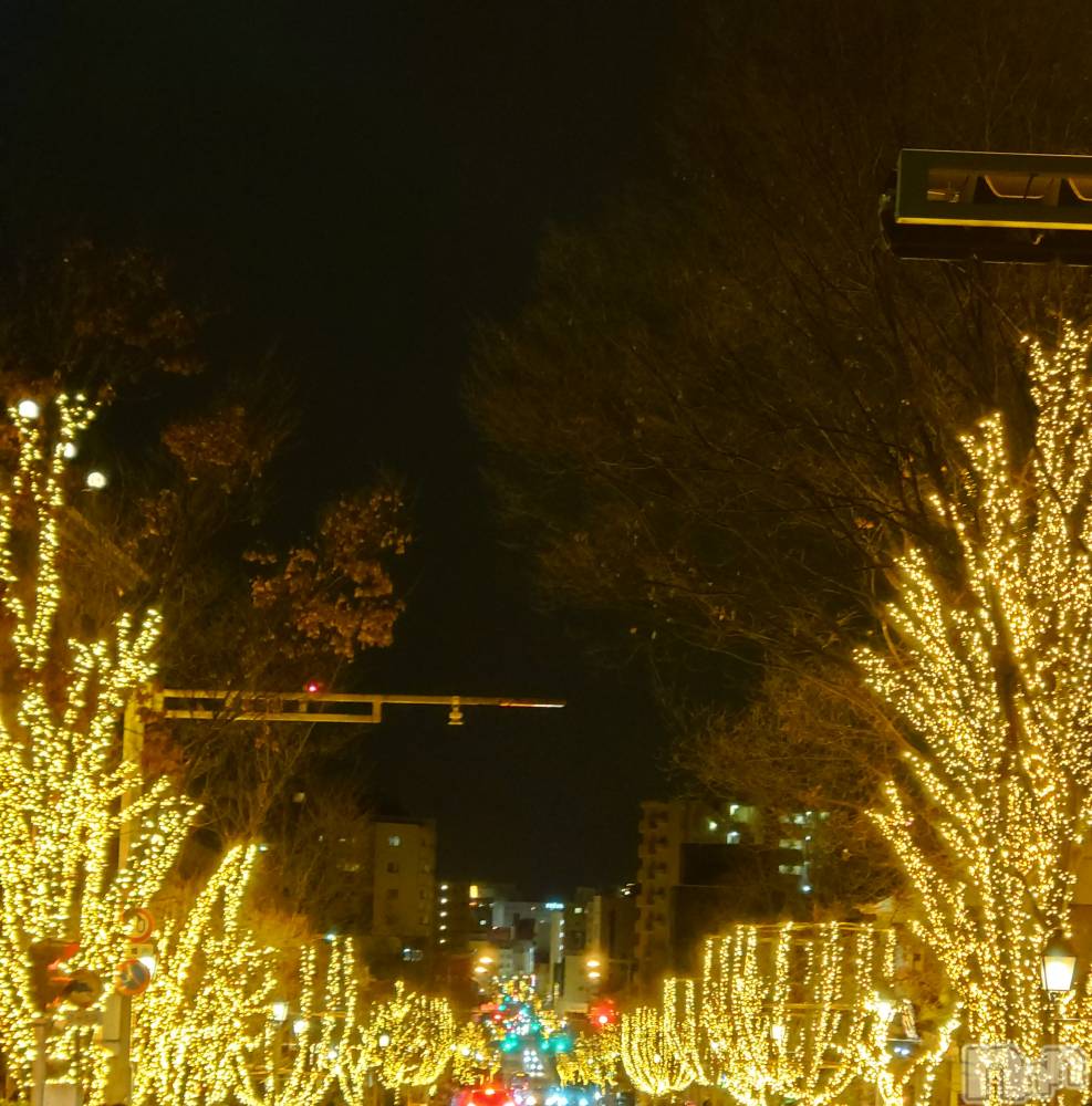 ��Ʋ����Х��顦����֥���� �ץ���� Ĺ��(����� �ץ���� �ʥ���) ���ġ����ڤ�1��7���̥�֥�����ᴴᴬᴾᴾᵞ ᴺᴱᵂ ᵞᴱᴬᴿ��