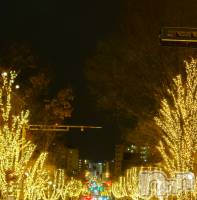 ��Ʋ����Х��顦����֥���� �ץ���� Ĺ��(����� �ץ���� �ʥ���) ���ġ����ڤ�1��7���̥�֥�����ᴴᴬᴾᴾᵞ ᴺᴱᵂ ᵞᴱᴬᴿ��