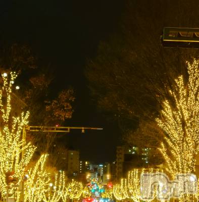 ��Ʋ����Х��顦����֥���� �ץ���� Ĺ��(����� �ץ���� �ʥ���) ���ġ����ڤ�1��7���̥�֥�����ᴴᴬᴾᴾᵞ ᴺᴱᵂ ᵞᴱᴬᴿ��