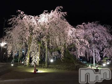 長野ぽっちゃりぽっちゃり癒し姫in長野(ポッチャリイヤシヒメインナガノ) 社交的☆小梅姫(42)の3月31日写メブログ「今年は早めだね🌸」