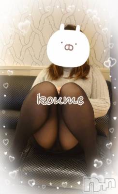 癒しの日(* ´  ` *)&#x141D;