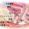長野ぽっちゃり 癒し姫 長野店(イヤシヒメインナガノ) 【S】白河小梅(42)の10月11日写メブログ「お兄さまたちへのお願いごと☆」