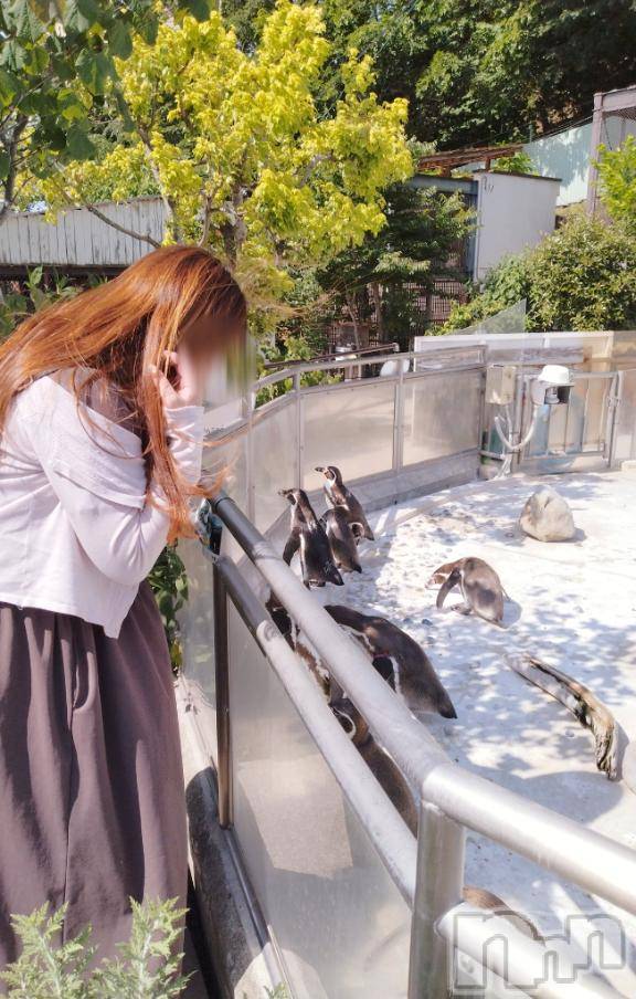 長野ぽっちゃり癒し姫 長野店(イヤシヒメインナガノ)【B】愛原美波(43)の2025年6月13日写メブログ「大股開きで♡」
