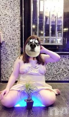 長野ぽっちゃり 癒し姫 長野店(イヤシヒメインナガノ) 【B】愛原美波(43)の1月15日写メブログ「モチベーションとマスターベーション」