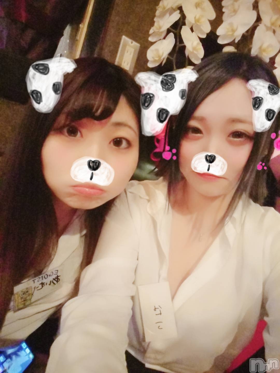 Įʥå륺СEGOIST() 2019ǯ428̥֥֤Ϥޤޤ