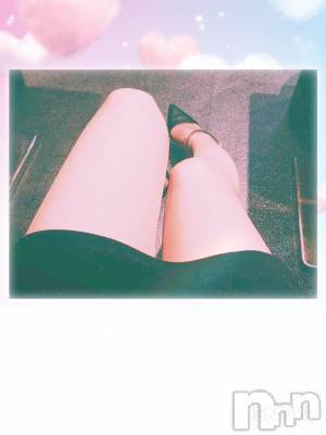 Įʥå륺СEGOIST()  321̥֥Ⱦ