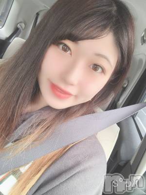 Įʥå륺СEGOIST()  529̥֥֤줫