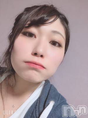 Įʥå륺СEGOIST()  530̥֥֤ˤӤġ