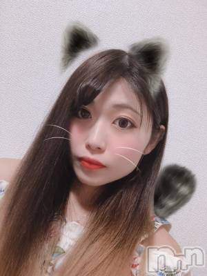 Įʥå륺СEGOIST()  530ֿ̥֥Ƥ⿲Ƥ