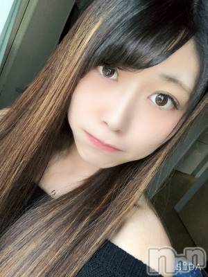 Įʥå륺СEGOIST()  329̥֥ʤ