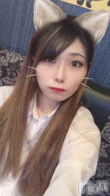 Įʥå륺СEGOIST()  617ֽ̥֥äơġ
