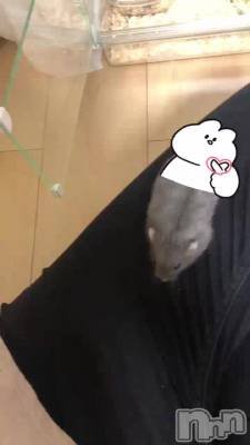 ­ʤǤ