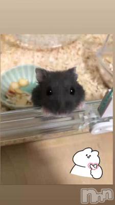 Ȥ