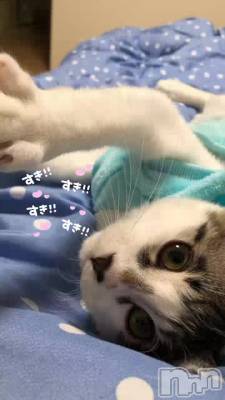 ʤ