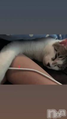 Ϥ衼