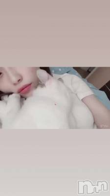 錄