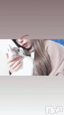 ʤʤ