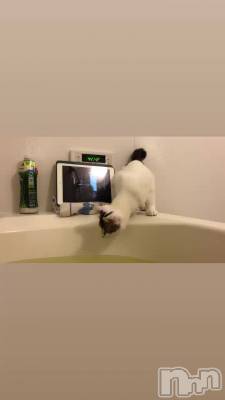 ä