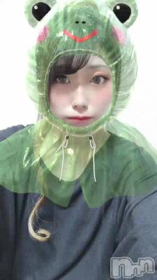 䡼