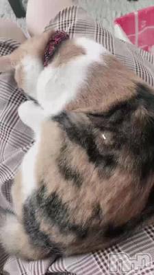 졩
