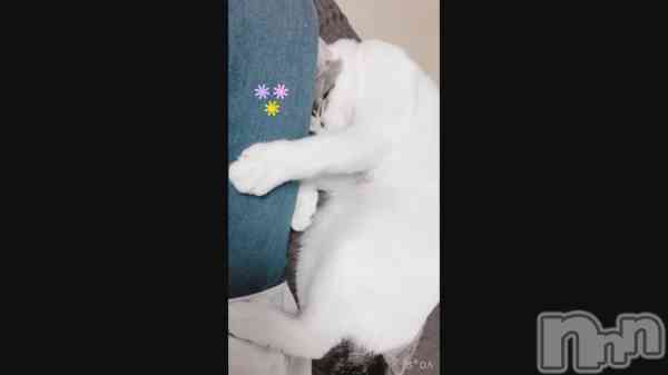 ֤ԤǤ