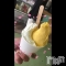 Įʥå륺СEGOIST()  ưִطʤ