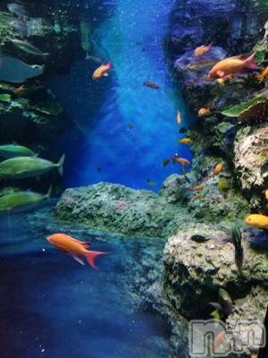 新潟デリヘル五十路マダム新潟店(カサブランカグループ)(イソジマダムニイガタテン)速水ゆうき(58)の2019年11月30日写メブログ「ゆうきです！」