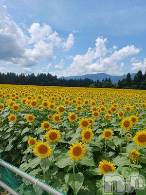 新潟デリヘル五十路マダム新潟店(カサブランカグループ)(イソジマダムニイガタテン)速水ゆうき(58)の2024年8月1日写メブログ「ゆうきです！」