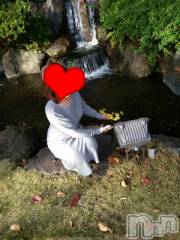 新潟デリヘル五十路マダム新潟店(カサブランカグループ)(イソジマダムニイガタテン) 速水ゆうき(58)の11月24日写メブログ「ゆうきです！」