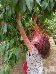 新潟デリヘル五十路マダム新潟店(カサブランカグループ)(イソジマダムニイガタテン) 速水ゆうき(58)の8月16日写メブログ「ゆうきです！」