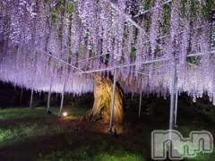 新潟デリヘル五十路マダム新潟店(カサブランカグループ)(イソジマダムニイガタテン) 速水ゆうき(58)の5月6日写メブログ「ゆうきです！」