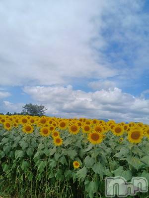 新潟デリヘル 五十路マダム新潟店(カサブランカグループ)(イソジマダムニイガタテン) 速水ゆうき(58)の8月5日写メブログ「ゆうきです！」