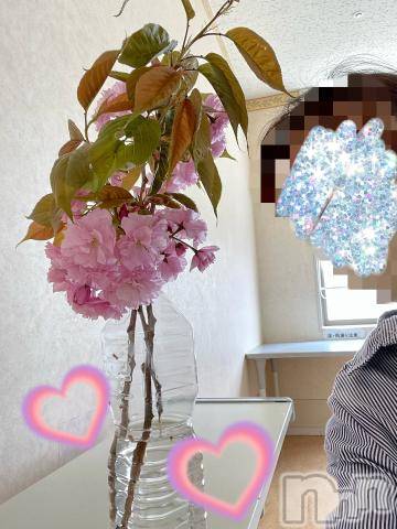 新潟デリヘル五十路マダム新潟店(カサブランカグループ)(イソジマダムニイガタテン) 若槻ゆうか(59)の4月23日写メブログ「愛あふれる桜」