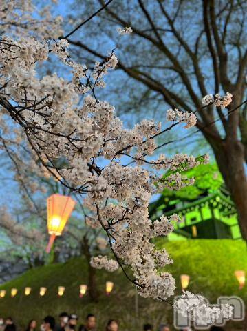 新潟デリヘル五十路マダム新潟店(カサブランカグループ)(イソジマダムニイガタテン)若槻ゆうか(59)の2023年4月13日写メブログ「うっとりした時間でした」