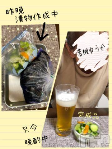 新潟デリヘル五十路マダム新潟店(カサブランカグループ)(イソジマダムニイガタテン)若槻ゆうか(59)の2024年7月19日写メブログ「ほろ酔い気分。」