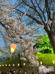 新潟デリヘル五十路マダム新潟店(カサブランカグループ)(イソジマダムニイガタテン) 若槻ゆうか(59)の4月13日写メブログ「うっとりした時間でした」