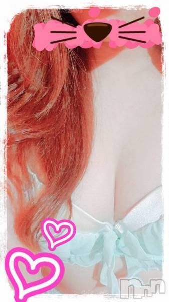 長岡デリヘル(フェイムナガオカテン)の2019年9月14日お店速報「新人ラッシュからのゴールドガールからの人気嬢」