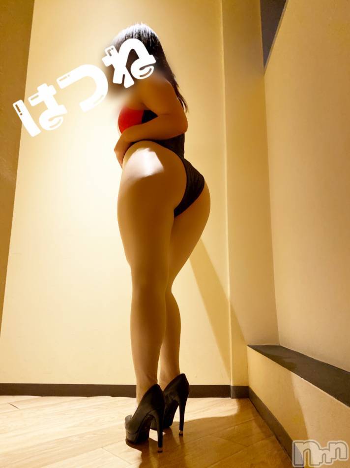 長岡デリヘル(フェイムナガオカテン)の2019年11月26日お店速報「豪華で豪華な三人揃えちゃいました」